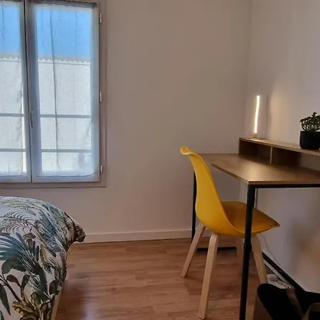 Apartament En Hypercentre, Le Nature Zen - Appart Avec Terrasse Entierement Renove - Netflix - Amazon Prime -