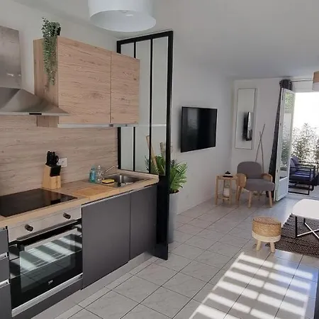 Apartman En Hypercentre, Le Nature Zen - Avec Terrasse Entierement Renove - Netflix - Amazon Prime -