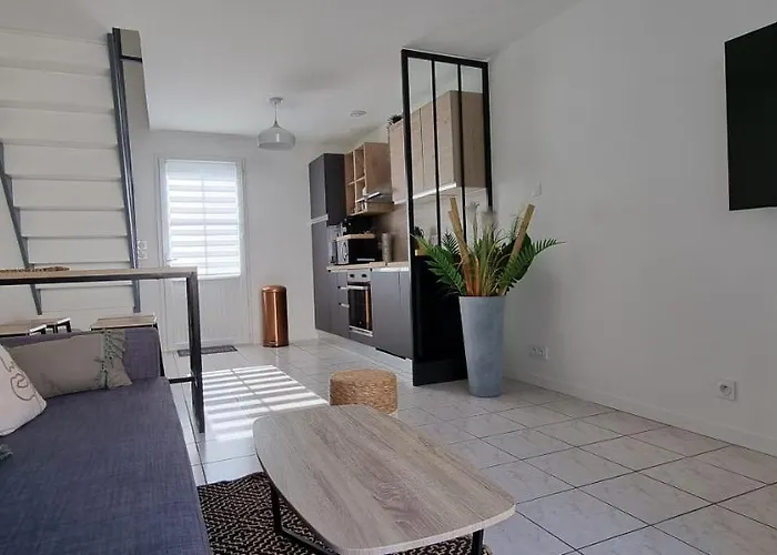 En Hypercentre, Avec Terrasse Entièrement Rénové - Netflix - Amazon Prime - Le Nature Zen * Surgères